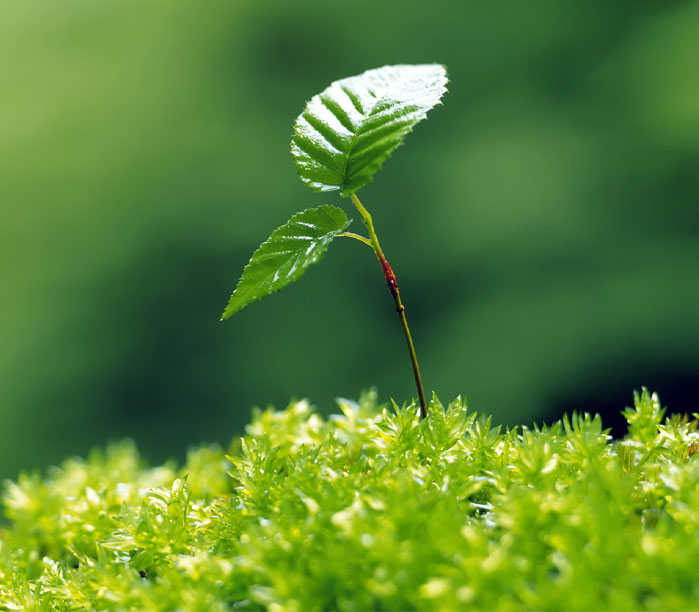 202405277883.jpg 202104124778.jpg